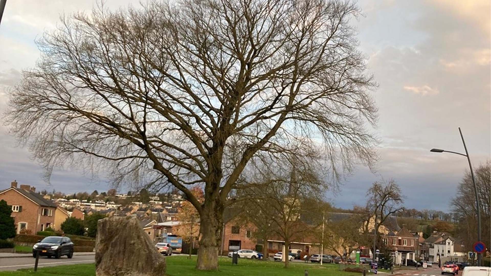 Gemeente en Krijtland Wonen werken samen aan prettig wonen in Simpelveld