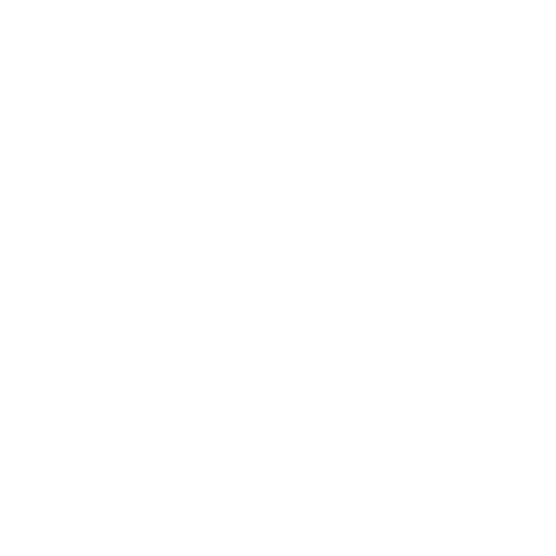 Radio icon